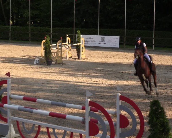 Reitturnier Klein Roscharden 2024