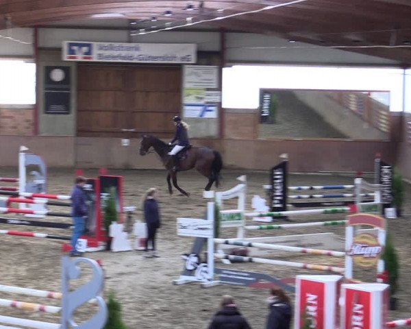 Reitturnier Herzebrock-Rheda 2021