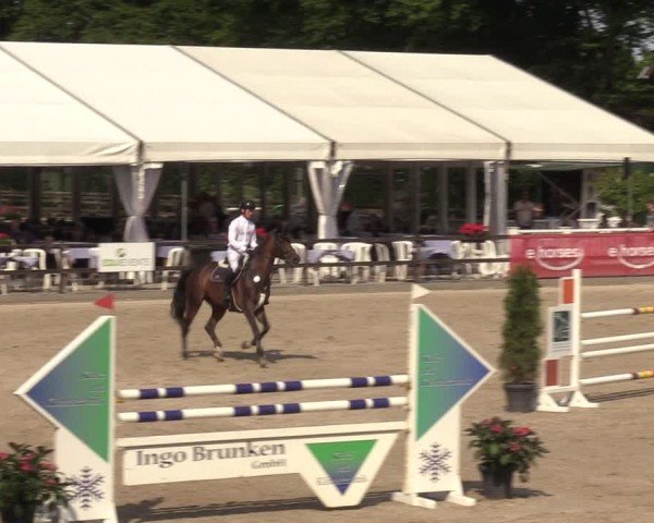 Reitturnier Klein Roscharden 2024