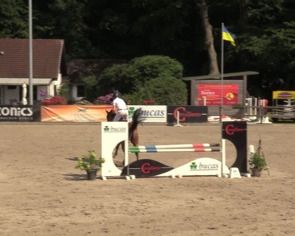 Reitturnier Klein Roscharden 2024