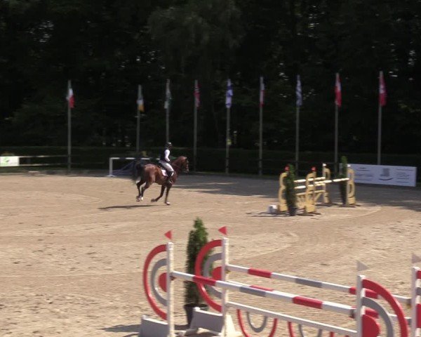 Reitturnier Klein Roscharden 2024