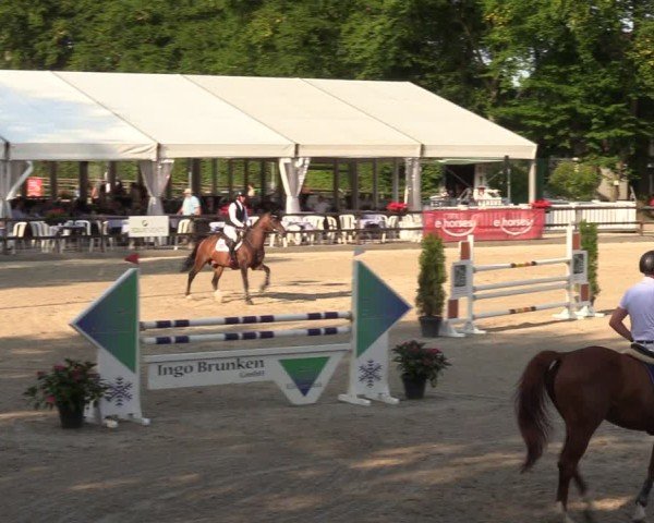 Reitturnier Klein Roscharden 2024