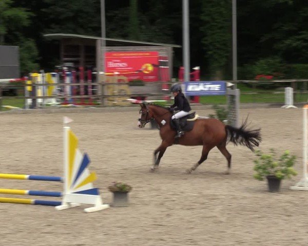 Reitturnier Klein Roscharden 2024