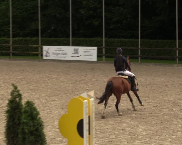 Reitturnier Klein Roscharden 2024
