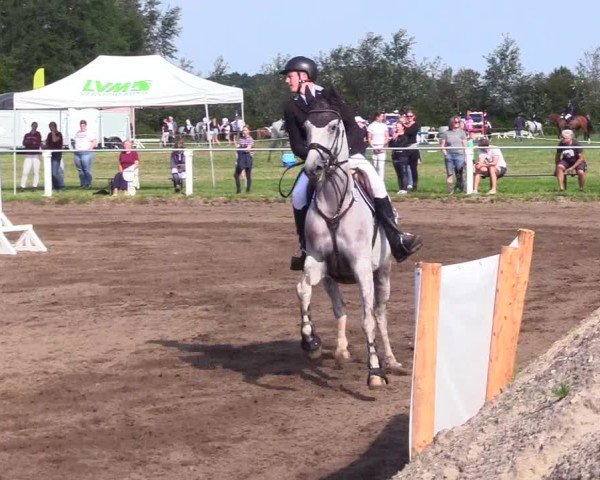 Reitturnier Sollerup 2024