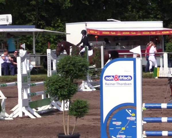Reitturnier Sollerup 2024