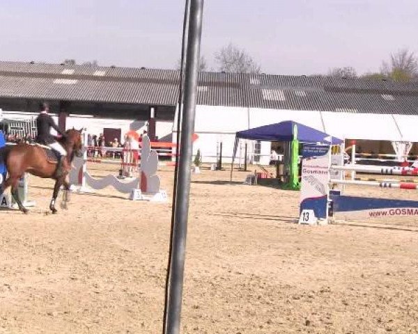Dressur- und Springturnier Eröffnung der grünen Saison 2013