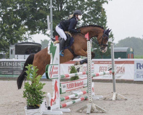 jumper Daliah 26 (Holsteiner, 2017, from Dinken)