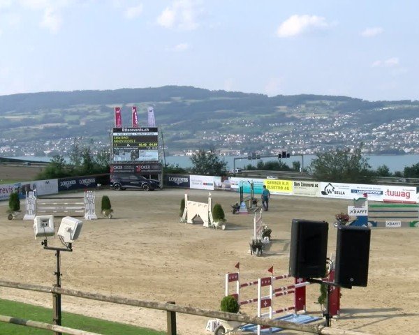 Reitturnier Wädenswil 2024