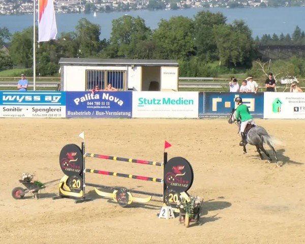 Reitturnier Wädenswil 2024