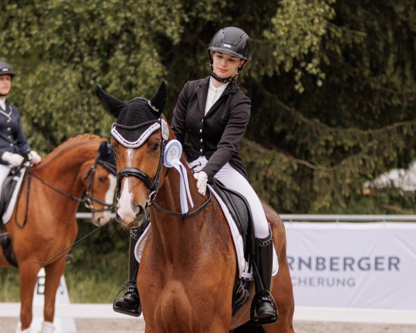 dressage horse Dante's Dancer (Oldenburg, 2019, from Dante’s Jr.)