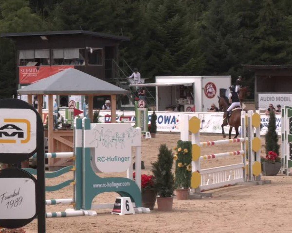 Reitturnier Ranshofen - Braunau am Inn 2024