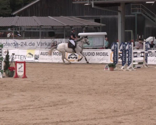 Reitturnier Ranshofen - Braunau am Inn 2024