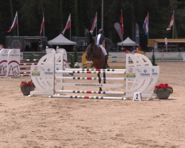 Reitturnier Ranshofen - Braunau am Inn 2024