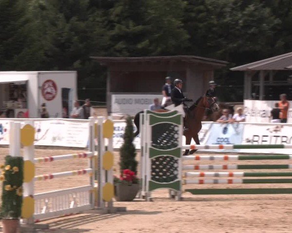 Reitturnier Ranshofen - Braunau am Inn 2024