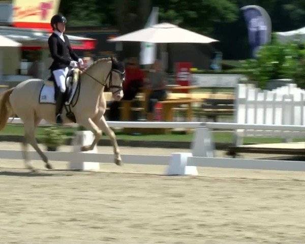 Reitturnier Münster-Handorf | Westfalen-Woche 2024
