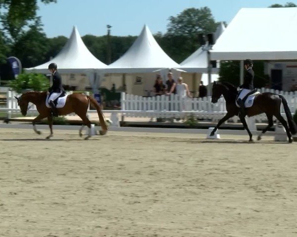 Reitturnier Münster-Handorf | Westfalen-Woche 2024