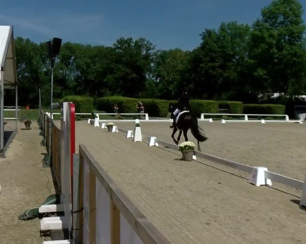 Reitturnier Münster-Handorf | Westfalen-Woche 2024