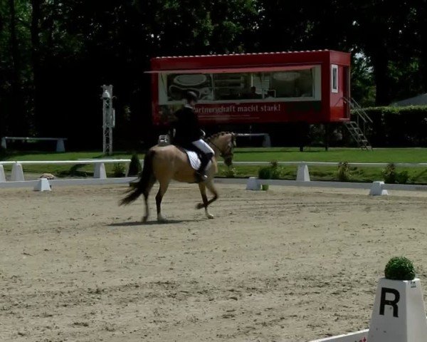 Reitturnier Münster-Handorf 2024