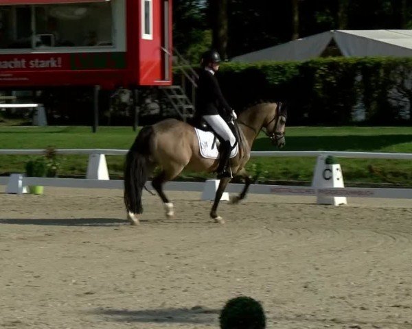 Reitturnier Münster-Handorf | Westfalen-Woche 2024