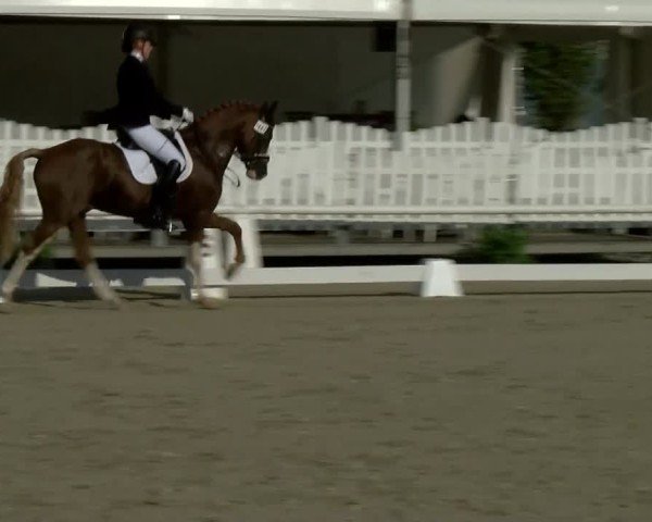 Reitturnier Münster-Handorf | Westfalen-Woche 2024