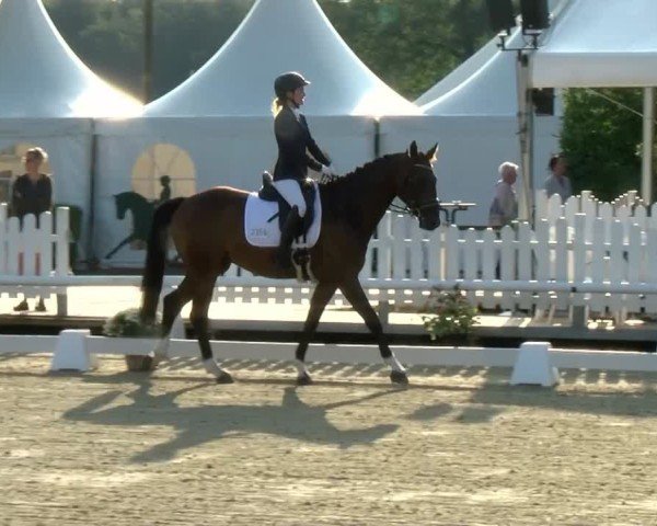 Reitturnier Münster-Handorf | Westfalen-Woche 2024