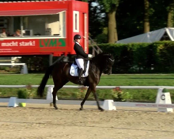 Reitturnier Münster-Handorf | Westfalen-Woche 2024