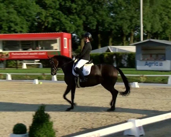 Reitturnier Münster-Handorf 2024