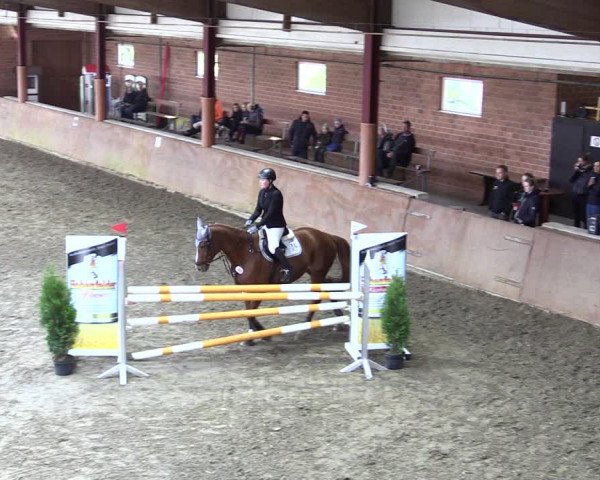 Reitturnier Herzebrock-Rheda 2021