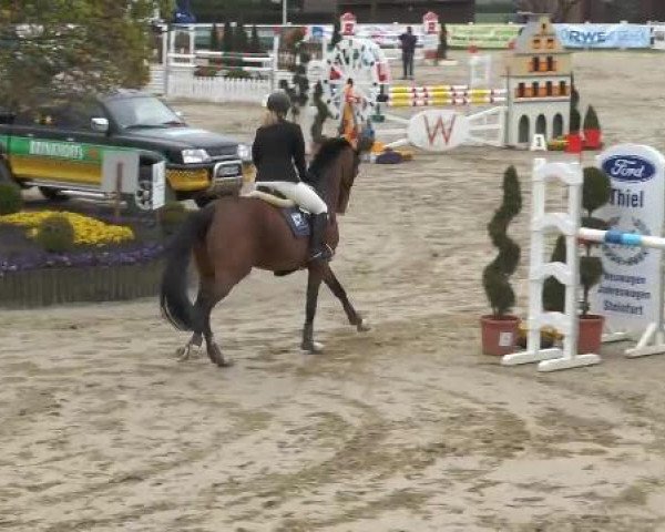 Lenklarer Reitertage auf der Reitsportanlage Gripshöver 2013