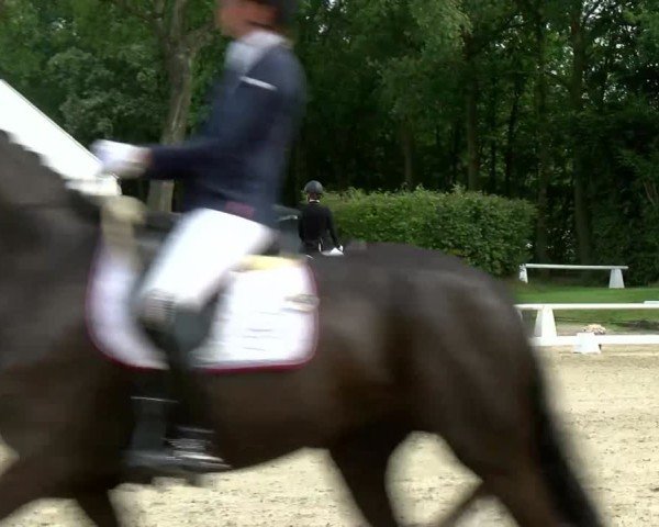 Reitturnier Münster-Handorf 2024