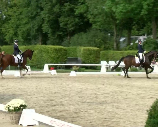 Reitturnier Münster-Handorf 2024