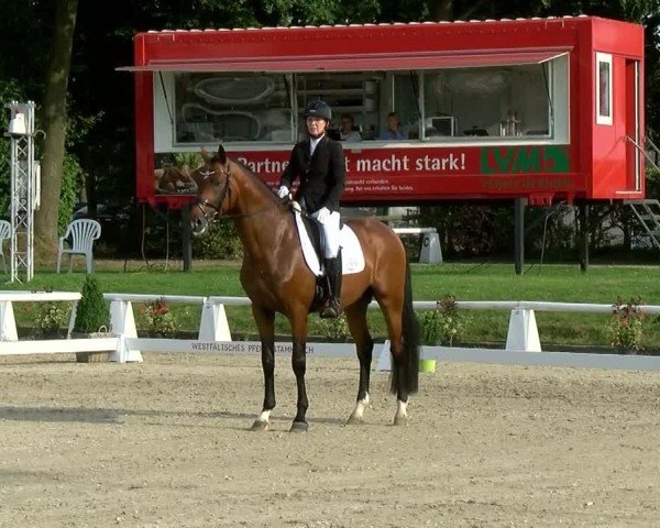Reitturnier Münster-Handorf 2024