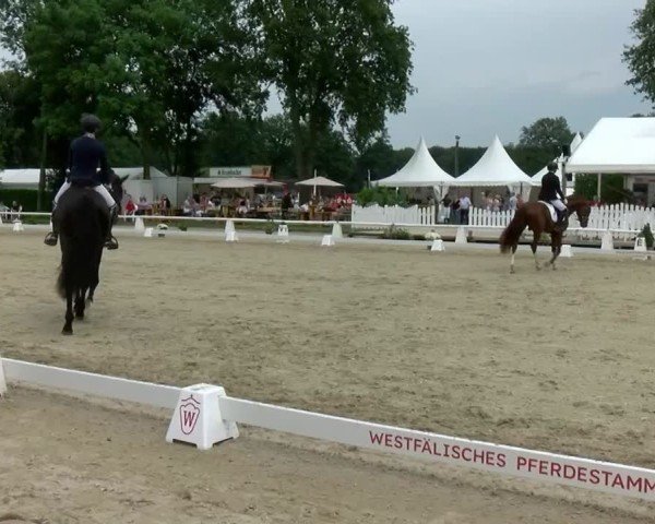 Reitturnier Münster-Handorf | Westfalen-Woche 2024