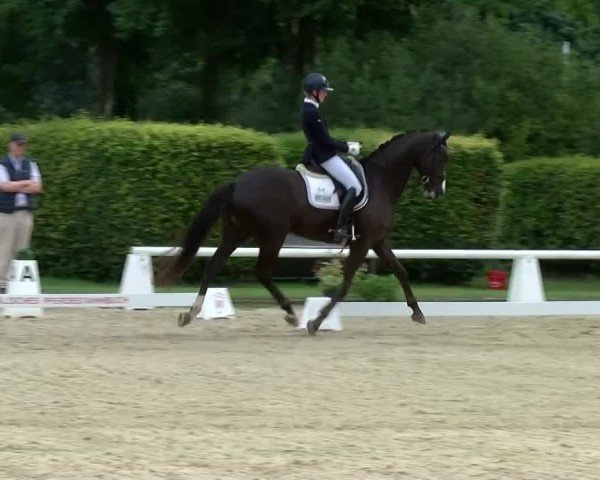 Reitturnier Münster-Handorf | Westfalen-Woche 2024