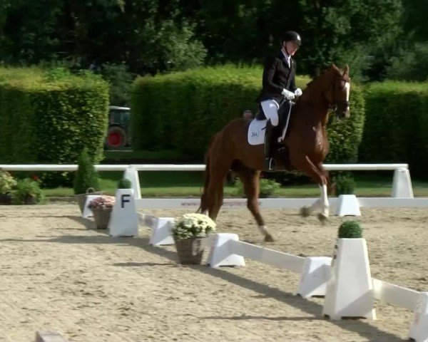 Reitturnier Münster-Handorf | Westfalen-Woche 2024