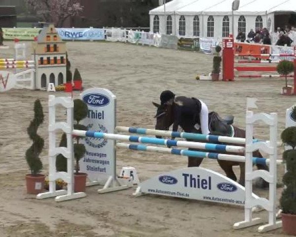 Lenklarer Reitertage auf der Reitsportanlage Gripshöver 2013