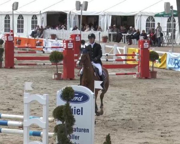 Reitturnier Werne-Lenklar 2013