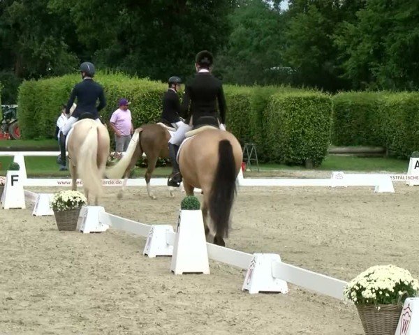 Reitturnier Münster-Handorf 2024