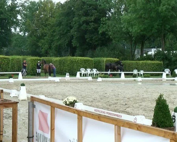 Reitturnier Münster-Handorf | Westfalen-Woche 2024