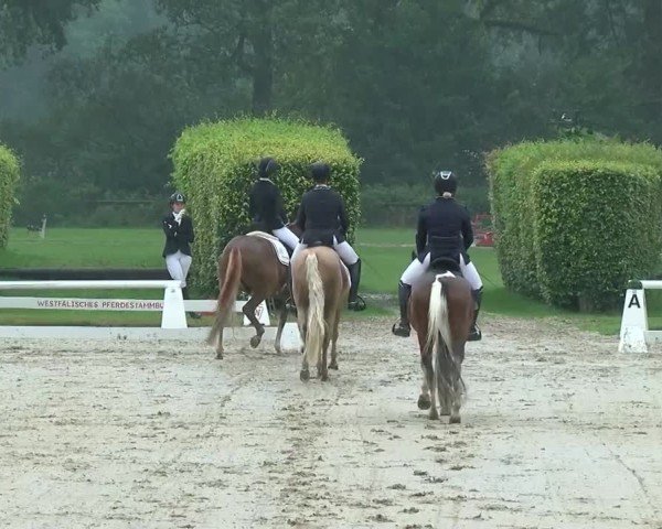 Reitturnier Münster-Handorf | Westfalen-Woche 2024