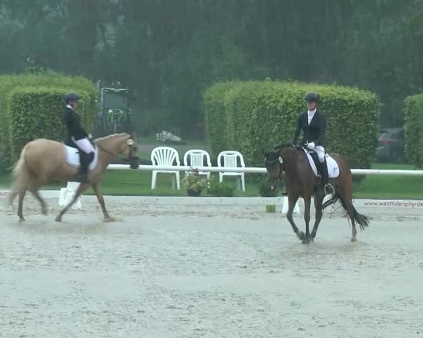 Reitturnier Münster-Handorf | Westfalen-Woche 2024