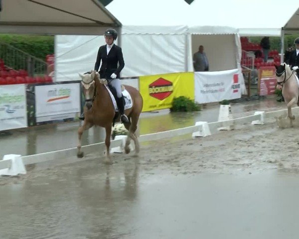 Reitturnier Münster-Handorf | Westfalen-Woche 2024