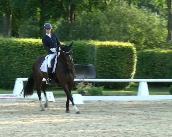 Reitturnier Münster-Handorf 2024