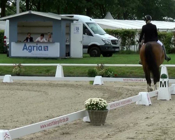 Reitturnier Münster-Handorf | Westfalen-Woche 2024