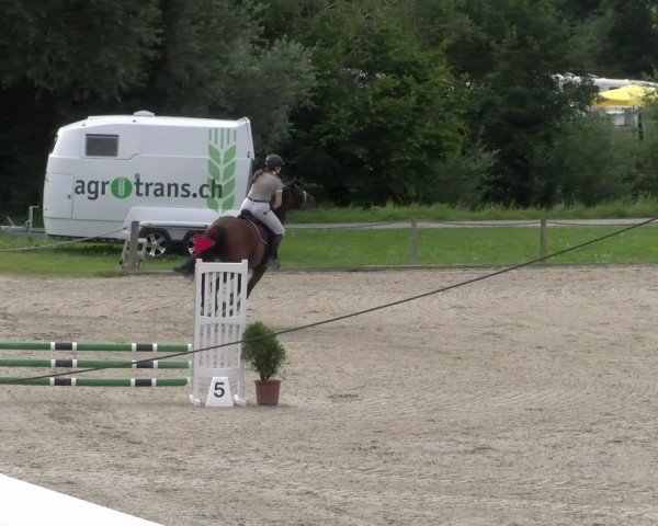 Reitturnier Gossau 2024