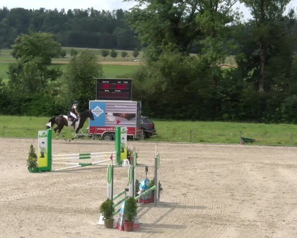 Reitturnier Gossau 2024