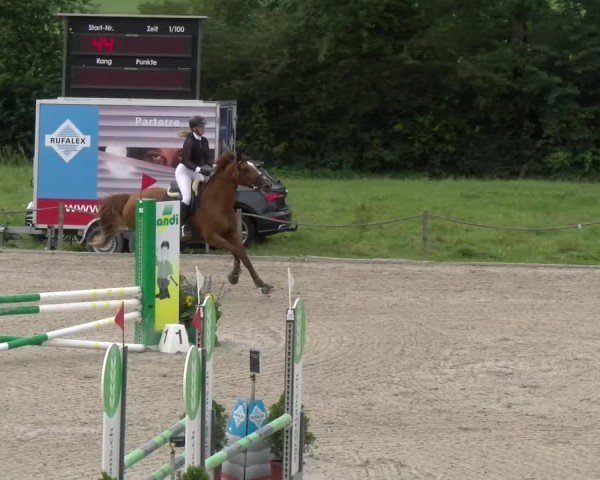 Reitturnier Gossau 2024