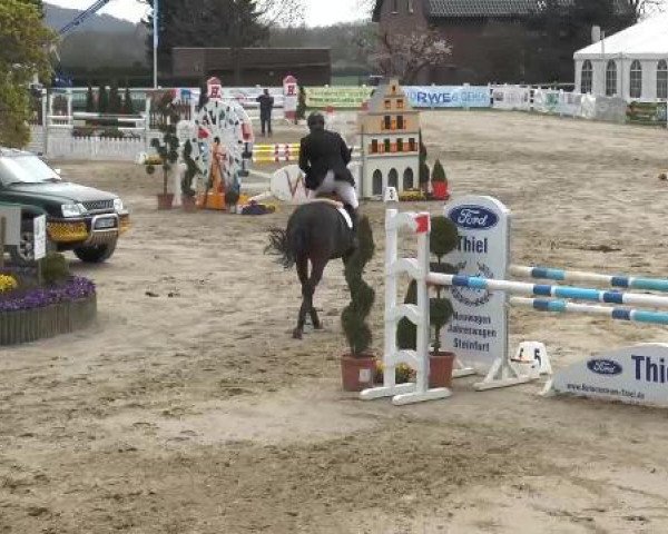 Lenklarer Reitertage auf der Reitsportanlage Gripshöver 2013