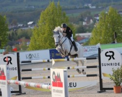 jumper Celvado (Mecklenburg, 2015, from Cellestial)